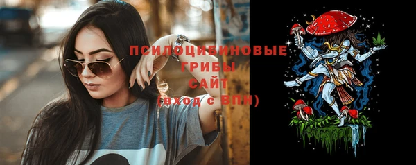 спиды Алексин