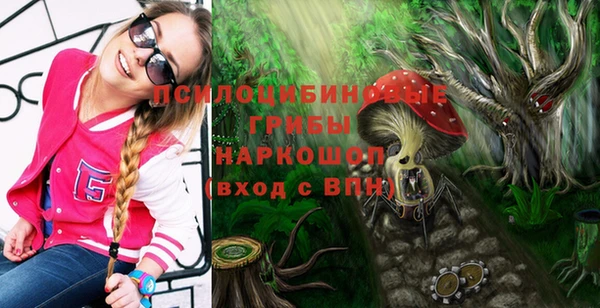 герыч Алзамай