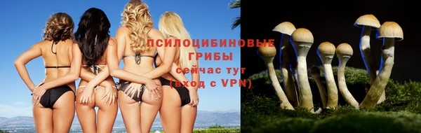 тгк Алексеевка