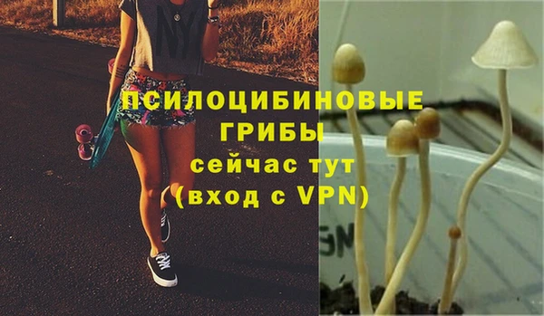 тгк Алексеевка
