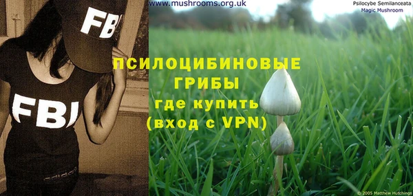 спиды Алексин