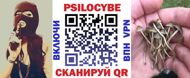 Псилоцибиновые грибы мицелий  наркотики  Казань 