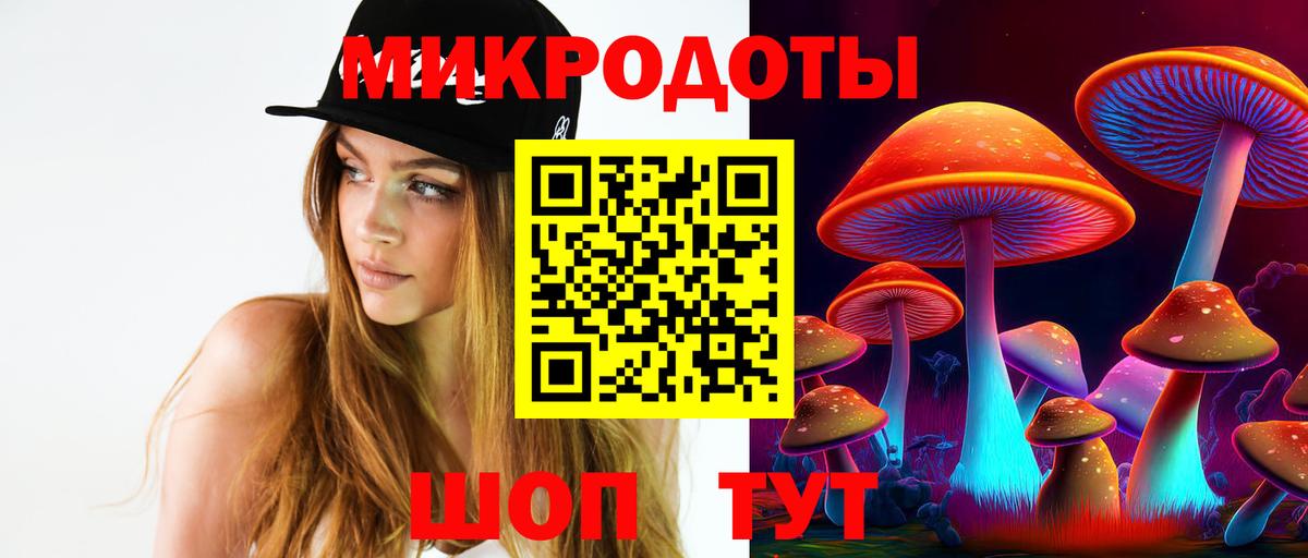 Псилоцибиновые грибы мицелий  купить   Казань  Вход с VPN 